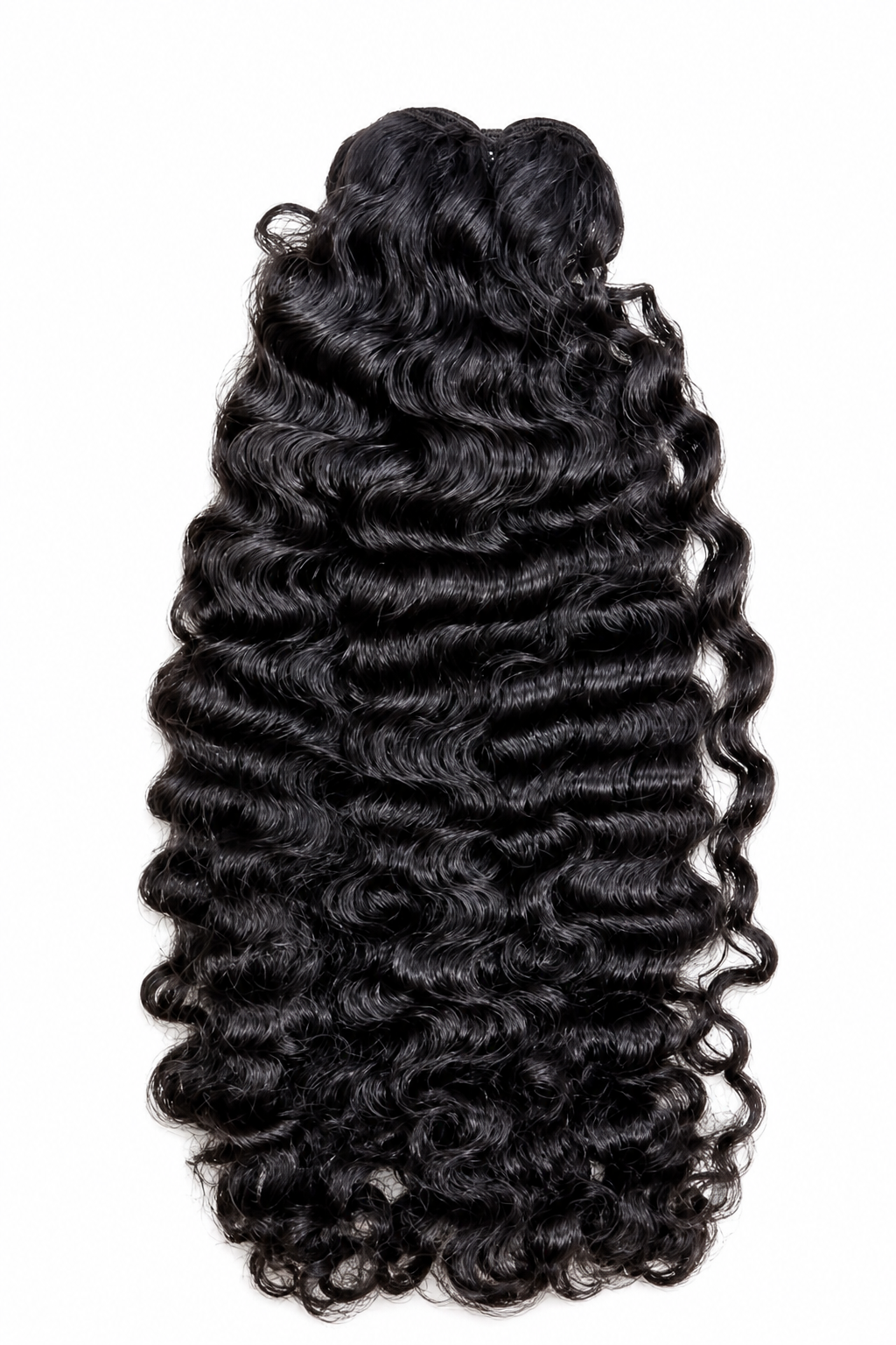 Burmese curly